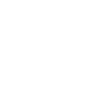 Whatsapp White Icon